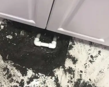 睢县查漏水哪家好